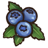 Blueberries.png
