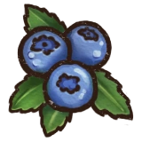 Blueberries.png