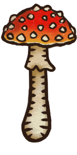 FlyAgaric.png