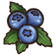 Blueberries.png